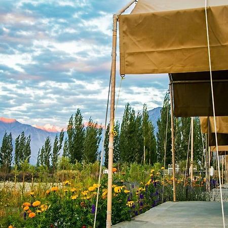 Highland Desert Camp Leh Ngoại thất bức ảnh